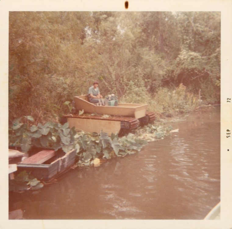 A precursor to the Marsh Master in a swamp. 1971.